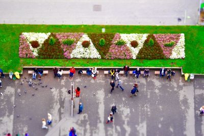 Tilt shift image of people by flower arrangement on footpath