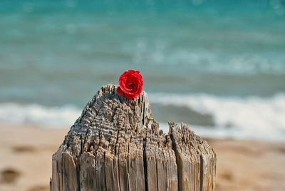 Close-up of wooden post against sky