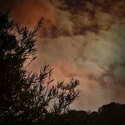 Low angle view of trees against cloudy sky