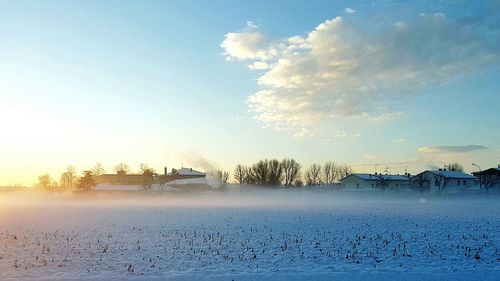 Scenic view of frozen tree and building against sky during winter