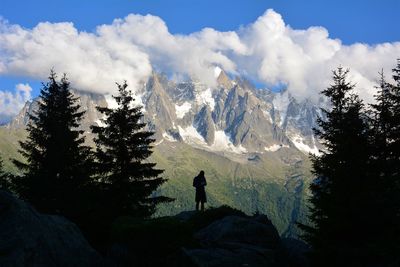 Scenic view of trees in forest against sky