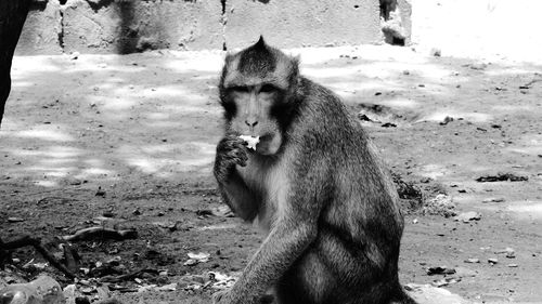 View of female sitting on field