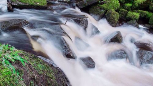 Waterfall in forest