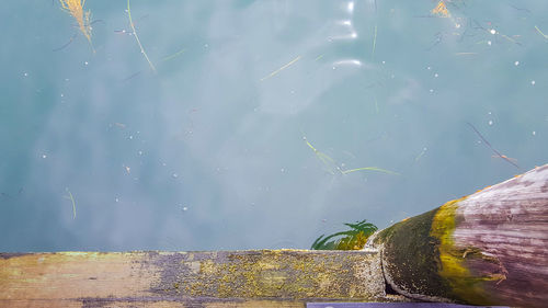 Scenic view of water