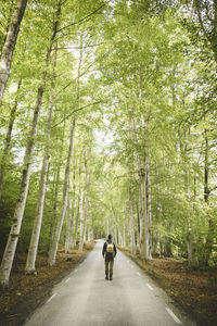 Rear view of man hiking on road amidst trees