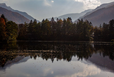 reflection