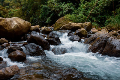 Stream flowing through rocks in forest