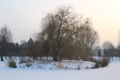 Bare trees against sky during winter