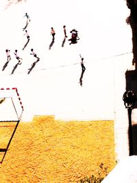 Birds flying against sky