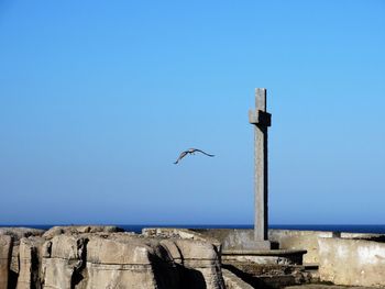 Low angle view of seagulls flying against clear blue sky