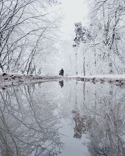 Reflection of tree in lake against sky during winter
