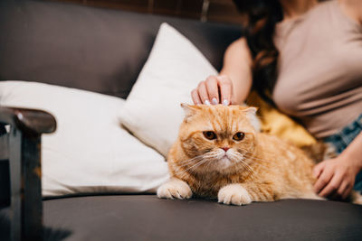 Midsection of woman with cat