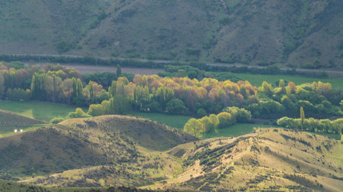 Scenic view of agricultural field