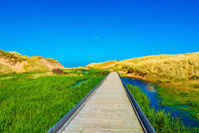 Dirt road amidst plants on field against clear blue sky