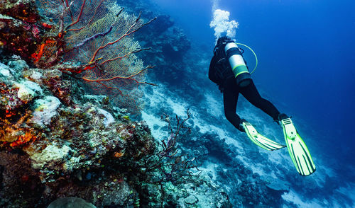 Man swimming in sea