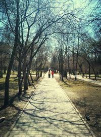 Footpath amidst trees in park