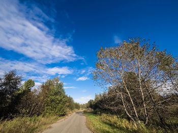 Road amidst trees against blue sky