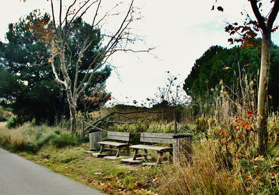 Empty bench in park against sky