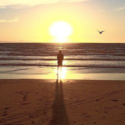 Scenic view of sea at sunset