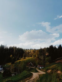 Road by trees against sky