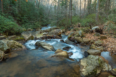Scenic view of waterfall in forest