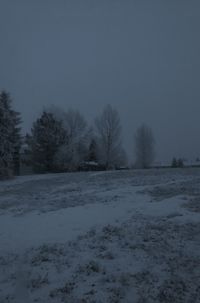 Bare trees on snow covered landscape