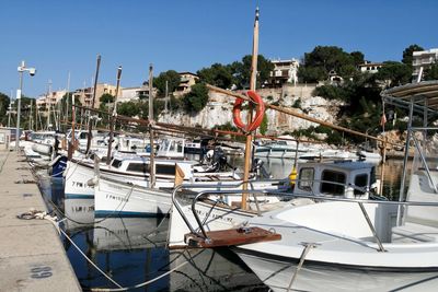 Sailboats moored at harbor