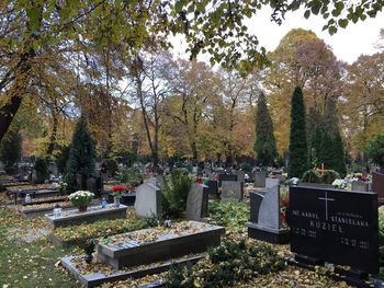 Cemetery against trees