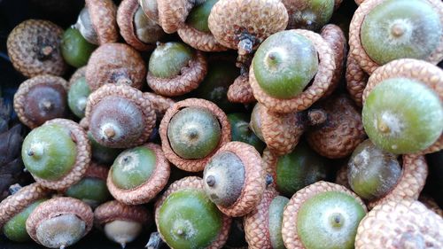 Full frame shot of fruits