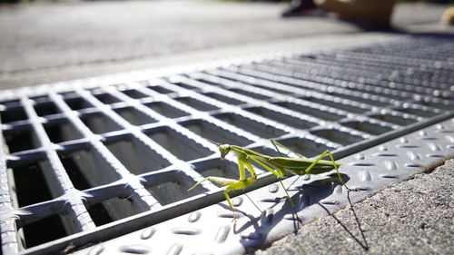 High angle view of metal grate