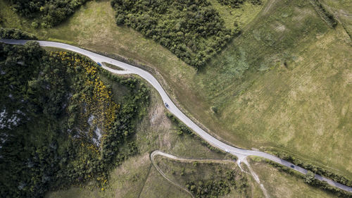 High angle view of road amidst trees