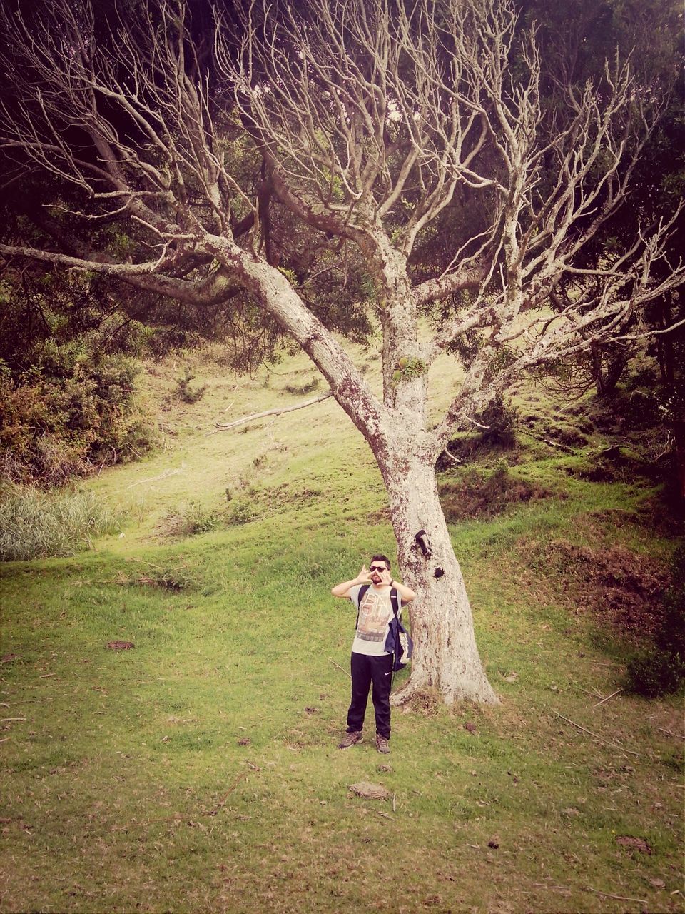 full length, lifestyles, rear view, leisure activity, casual clothing, grass, standing, field, tree, person, walking, nature, men, growth, three quarter length, plant, landscape, tranquility