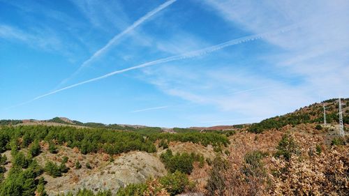 Scenic view of landscape against blue sky