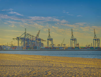 Cranes at beach against sky during sunset