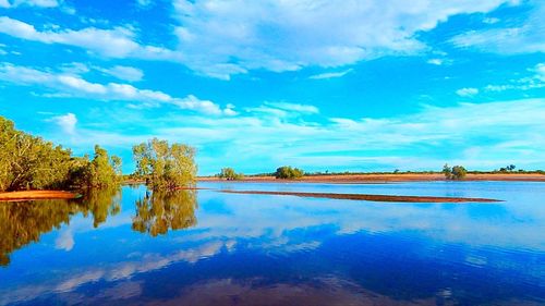 Reflection of trees in calm lake