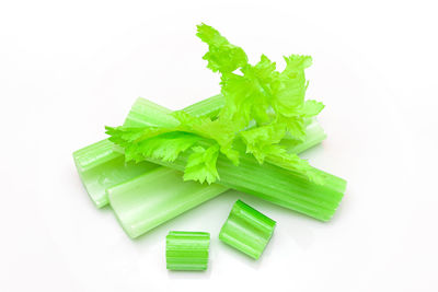 High angle view of green leaves against white background