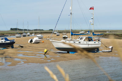 Sailboats moored at harbor against sky