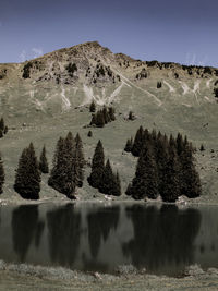 Scenic view of lake and trees against sky