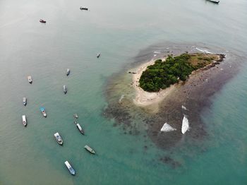 High angle view of boats on sea shore