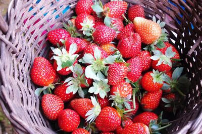 High angle view of strawberries in basket