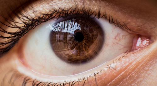 Close-up of human eye