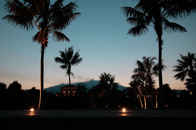 Silhouette palm trees against sky at night