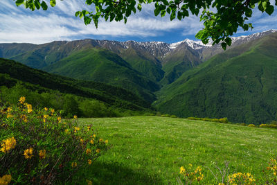 Scenic view of field against mountains