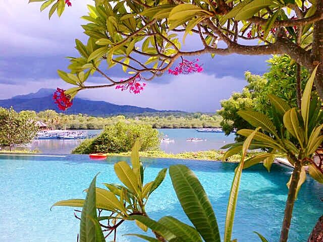 water, growth, sky, flower, tree, leaf, beauty in nature, nature, plant, blue, sea, lake, green color, tranquility, day, cloud, cloud - sky, tranquil scene, freshness, scenics