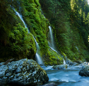 Scenic view of waterfall