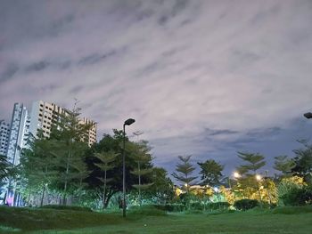 Scenic view of trees and plants against sky