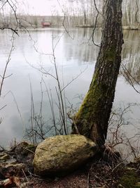 Scenic view of lake by trees