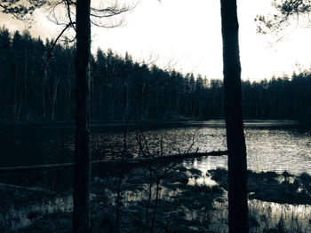 Scenic view of lake against sky during winter