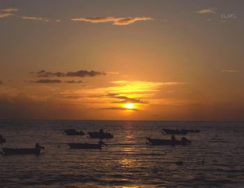 Silhouette swans swimming in sea against sunset sky