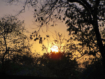 Silhouette trees against sky during sunset